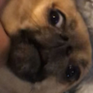 Meet your Posher, Jake